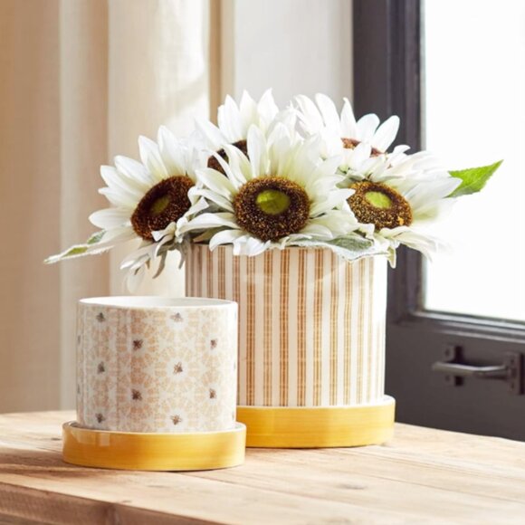 Set/2 BEE Containers - Picture 1 of 4